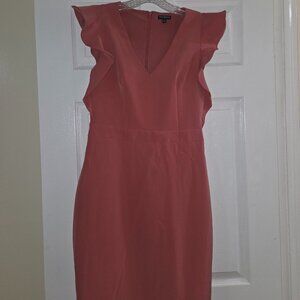 Beautiful Express fitted Dress